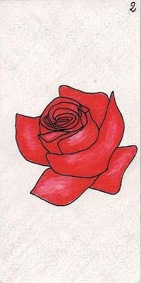 la rose, deuxième carte de l'Oracle Gé